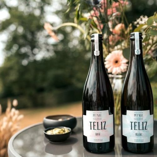 No Ghost in a Bottle Téliz Sparkling Rosé 0%