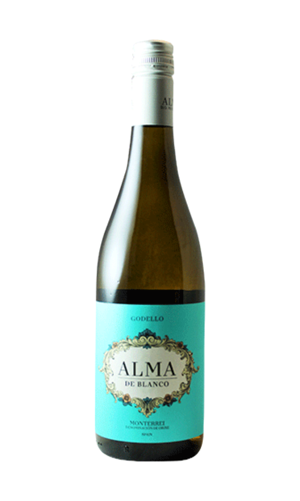 Alma de Blanco, Monterrei 2024