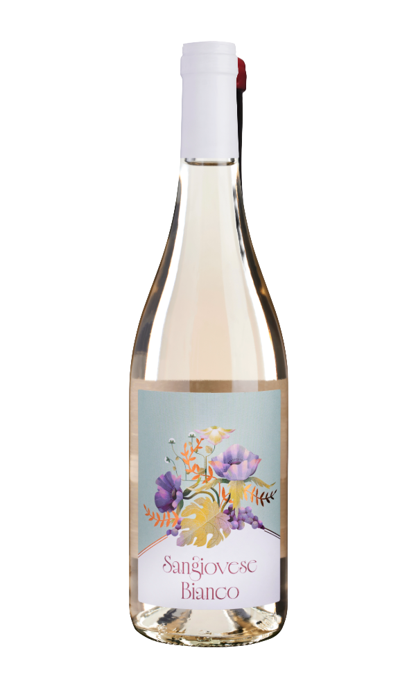 Vicchiomaggio, Sangiovese Bianco 2025