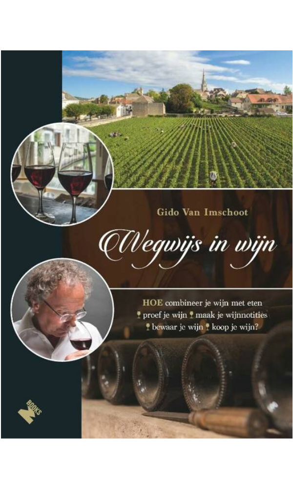 Gido Van Imschoot, Wegwijs in Wijn