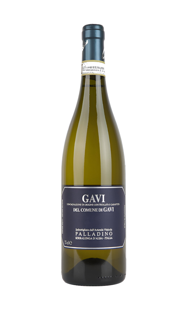 Palladino, Gavi di Gavi 2022
