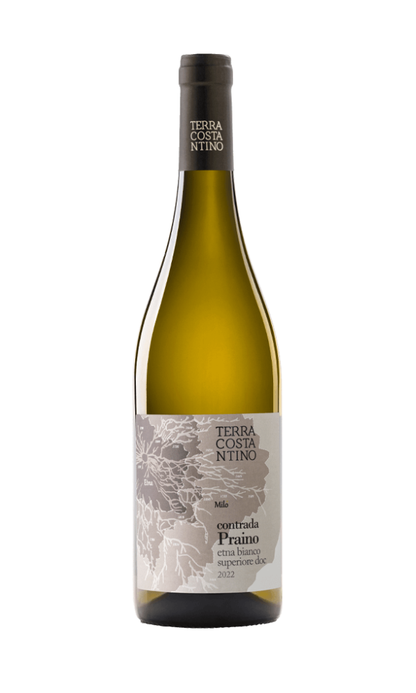 Terra Costantino, Contrada Praino, Etna Bianco 2022