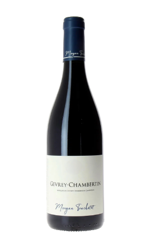 [FRBGTR004] Domaine Truchetet, Gevrey Chambertin 2022