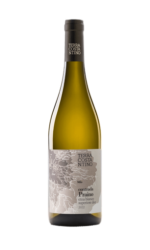 Terra Costantino, Contrada Praino, Etna Bianco 2023 