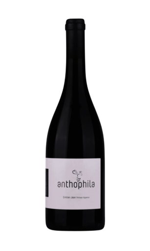 [FRZWEJ010] Emilien Jean , Anthophila, C. Marmandais 2019